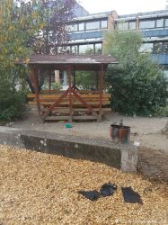 20160903 Muelleimerbrand Schwarzwaldschulhof 17