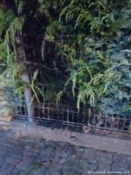 IMG 20160915 WA0010