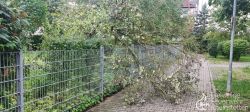 20230826 Unwetter 03