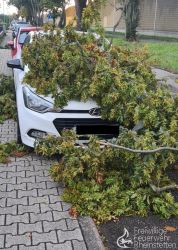 20230826 Unwetter 10