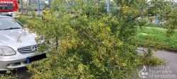 20230826 Unwetter 11