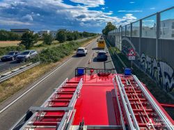 250629 Wochenbericht 01