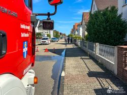 250807 Wochenbericht 02