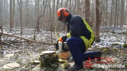 180305 Kettensaegenlehrgang 03