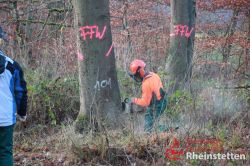 20211211 Kettensägen Fortbildung 06