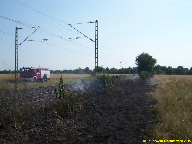 20150704 Großer Flächenbrand L566 Basheide 03