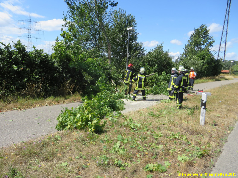 20150725 Baum über Straße L566 Nwr 1